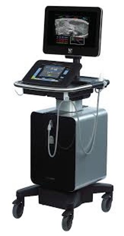 Ultrasound vevo 3100
